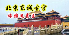 日嫩逼网站中国北京-东城古宫旅游风景区